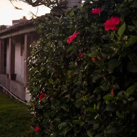 펜션 Quinta Da Ponta Delgada