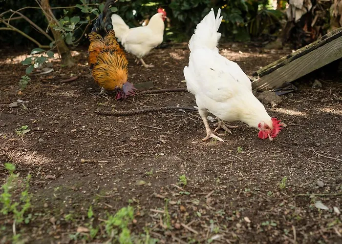 Vakantiehuis Quinta Da *