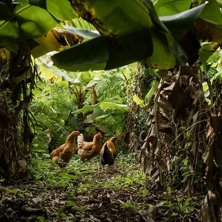 Сasa de vacaciones Quinta Da *